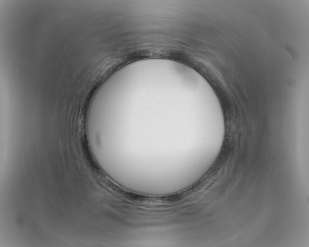 X0000113070123200908281019