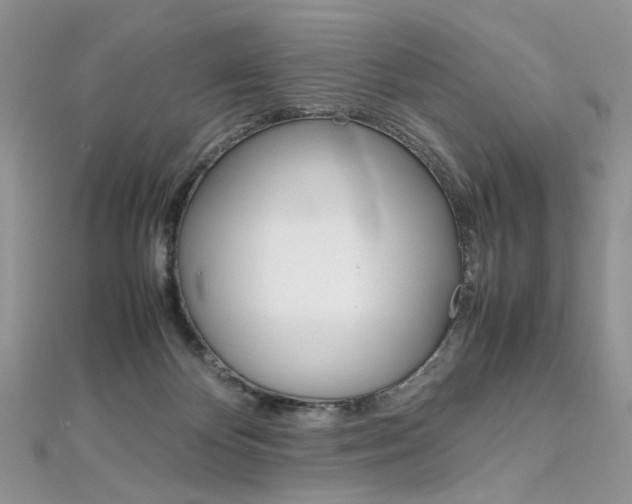 X0000113070124200908281019