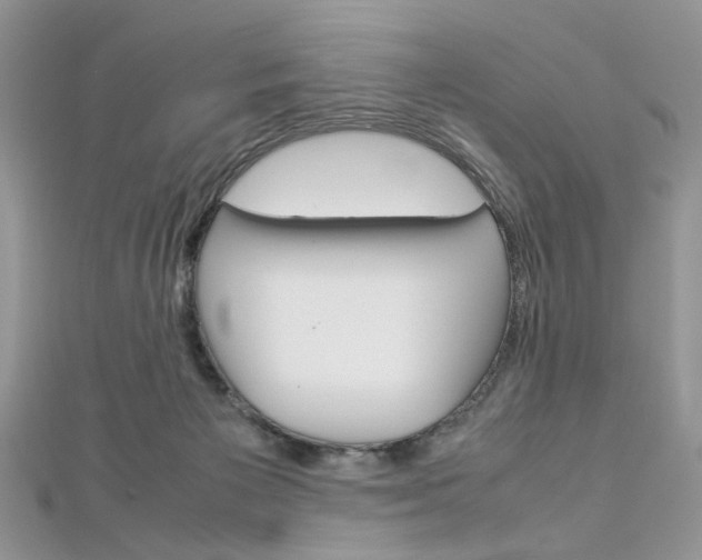 X0000113070125200908281018