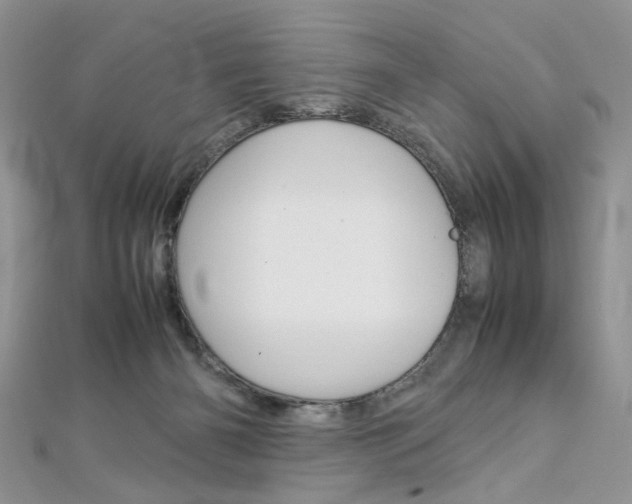 X0000113070126200908281018