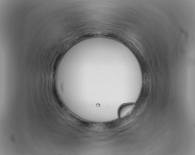 X0000113070127200908281018