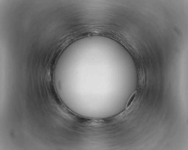 X0000113070128200908281018