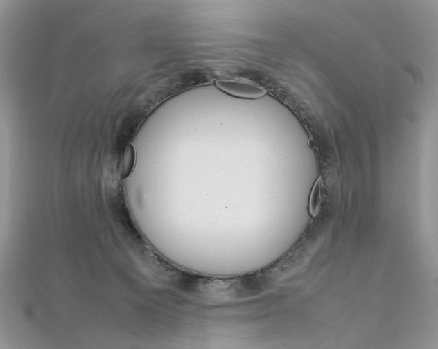 X0000113070129200908281018