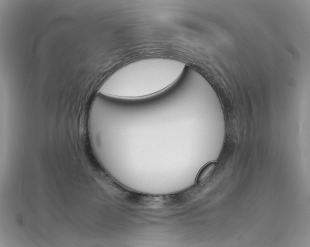 X0000113070131200908281018