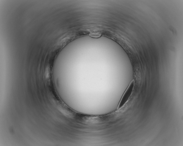 X0000113070132200908281018
