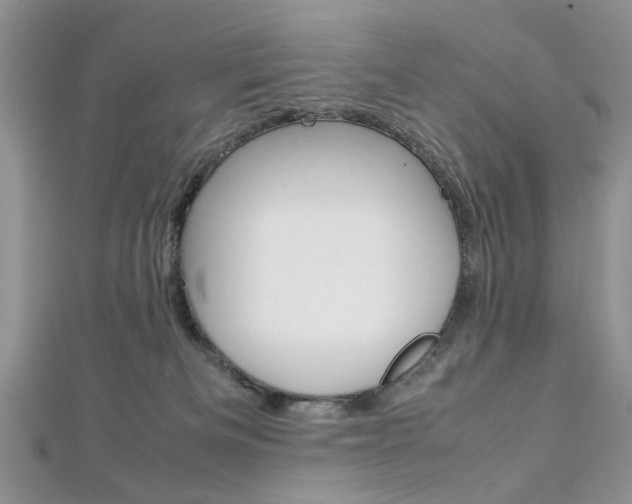 X0000113070133200908281018
