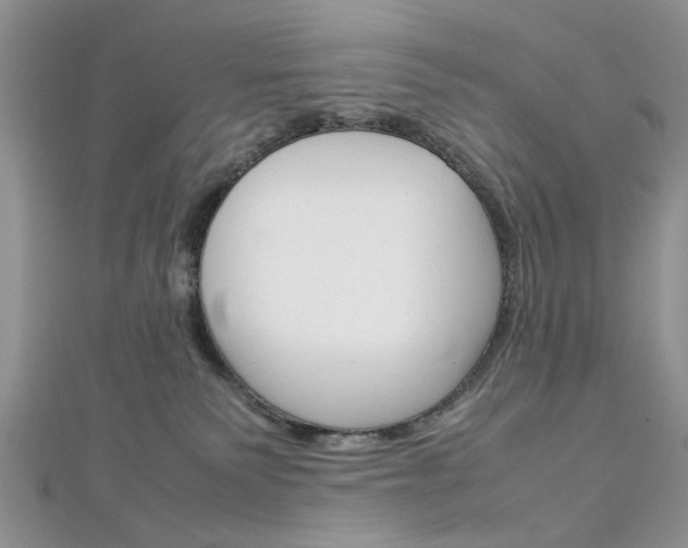 X0000113070135200908281018