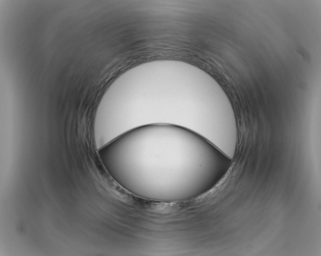 X0000113070136200908281018