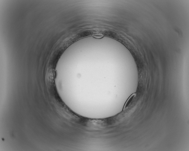 X0000113070137200908281018