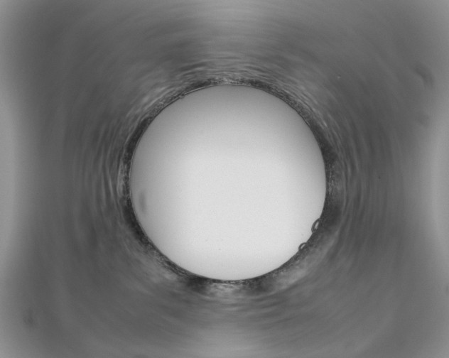 X0000113070139200908281018