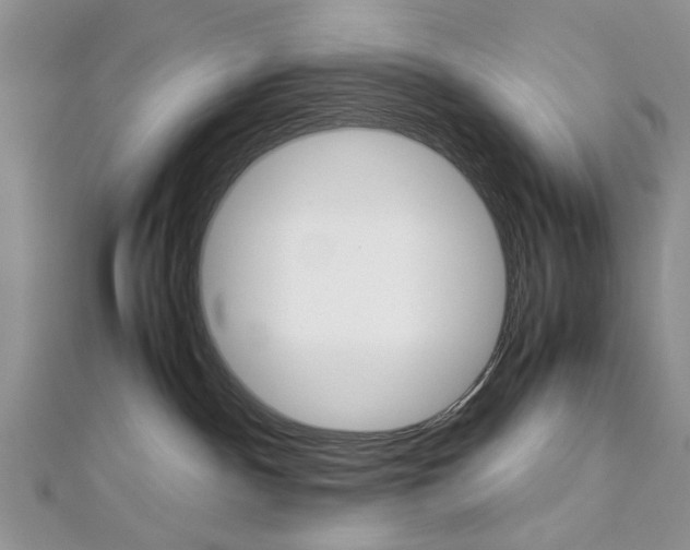 X0000113070140200908281018
