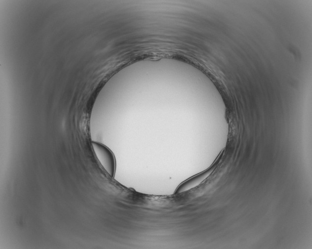 X0000113070141200908281018