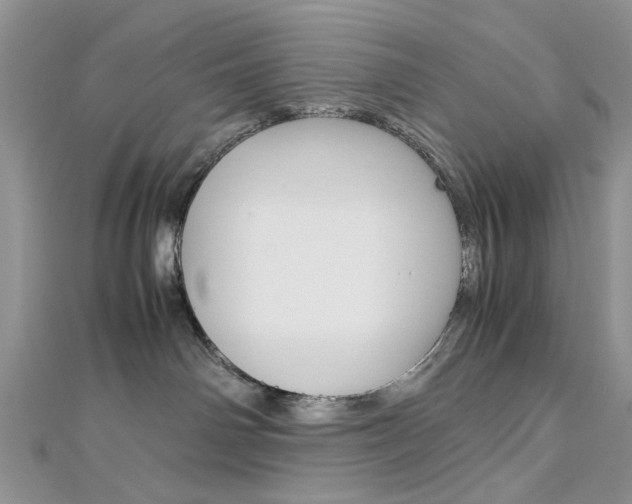 X0000113070142200908281018