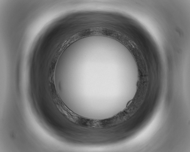 X0000113070143200908281018