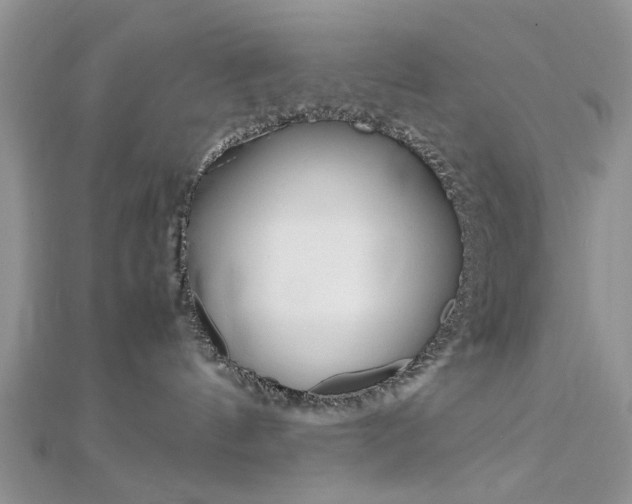 X0000113070144200908281018