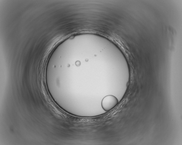 X0000113070145200908281018