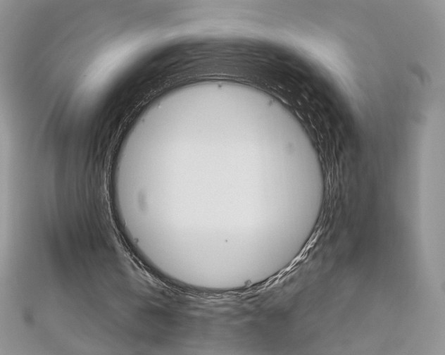 X0000113070146200908281018