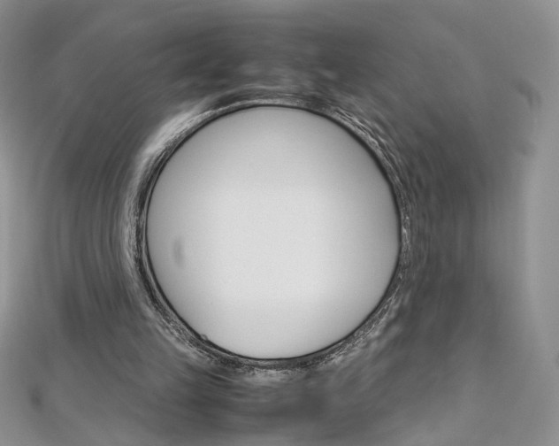 X0000113070149200908281018