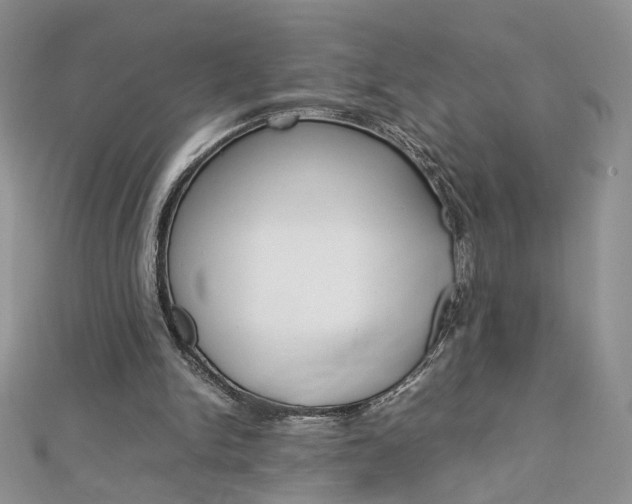 X0000113070150200908281018
