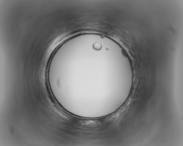 X0000113070151200908281018