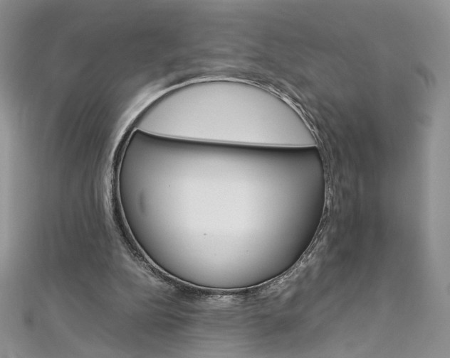 X0000113070152200908281018