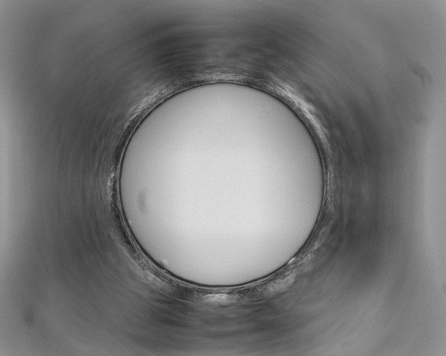 X0000113070153200908281018