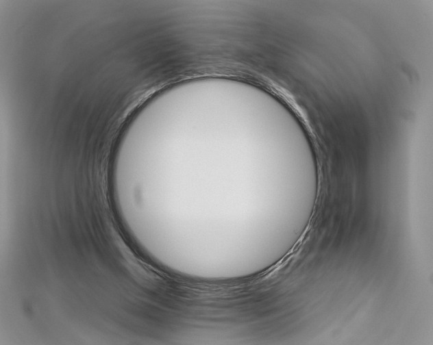 X0000113070154200908281018
