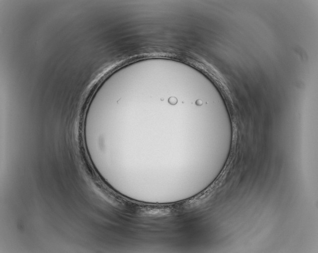 X0000113070155200908281018