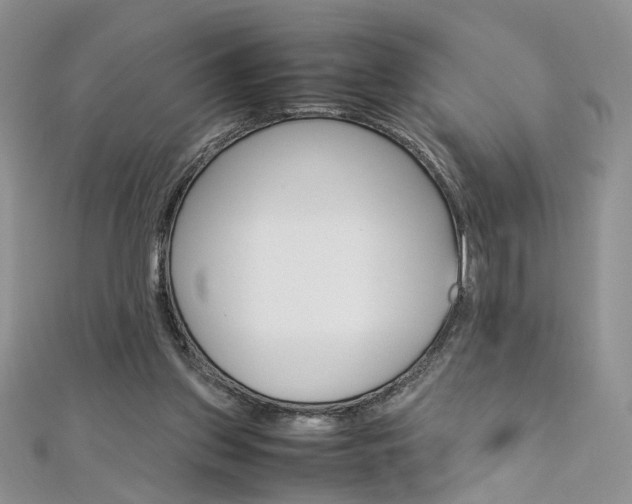 X0000113070157200908281018