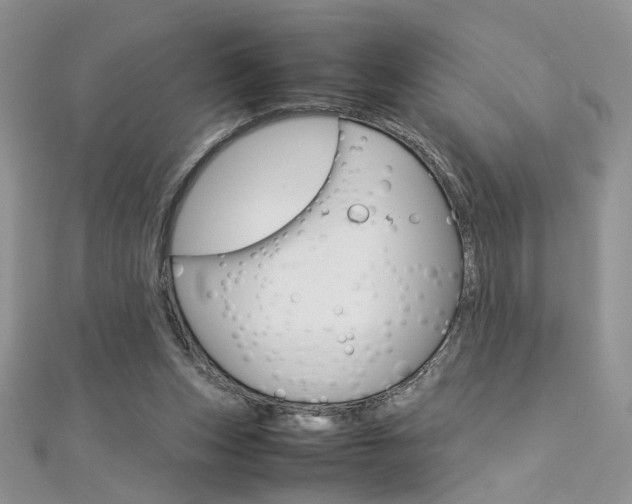 X0000113070159200908281018