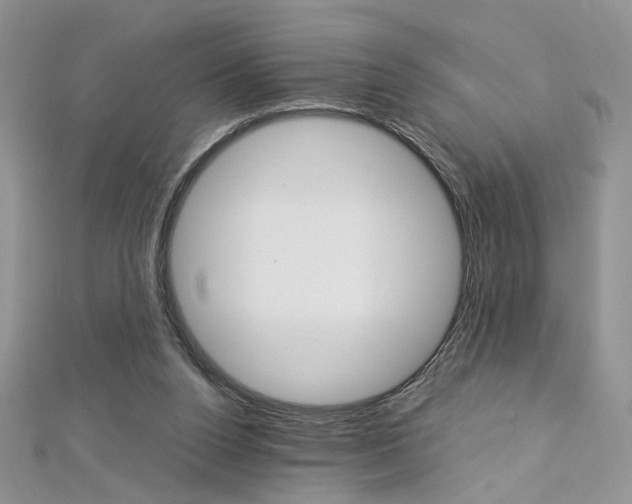 X0000113070160200908281018