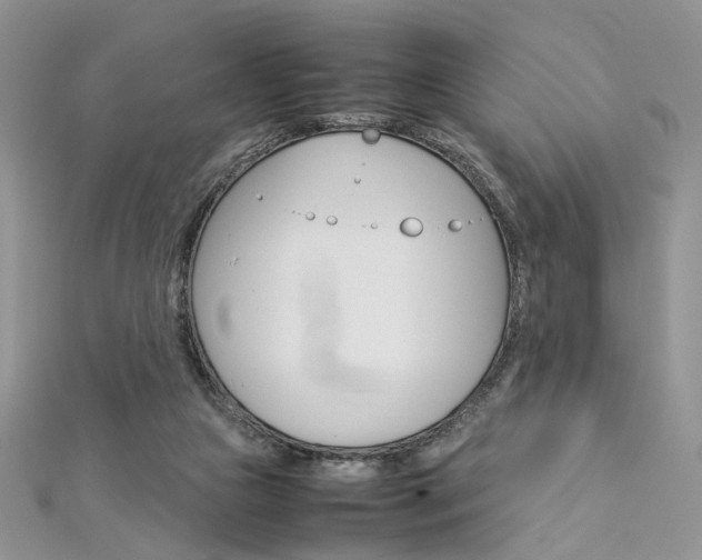X0000113070161200908281018