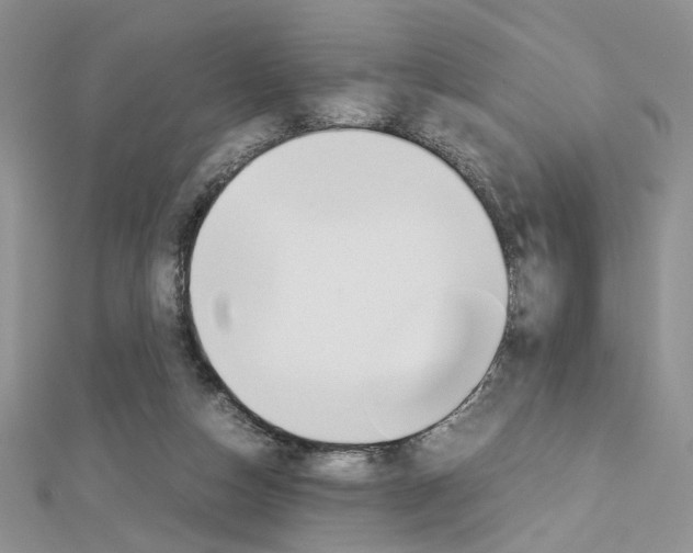 X0000113070162200908281018