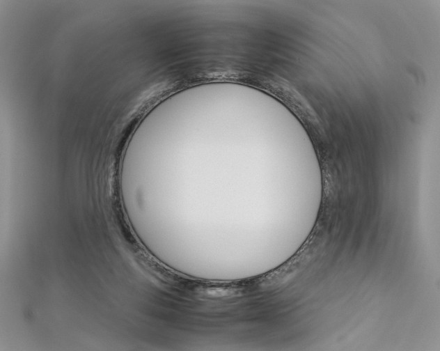 X0000113070163200908281018