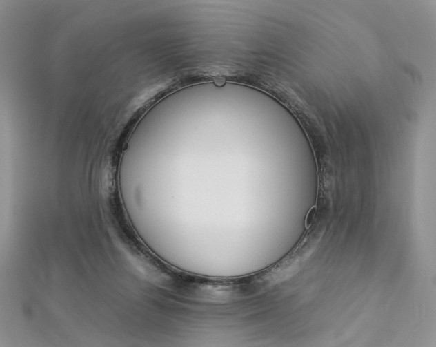 X0000113070164200908281018