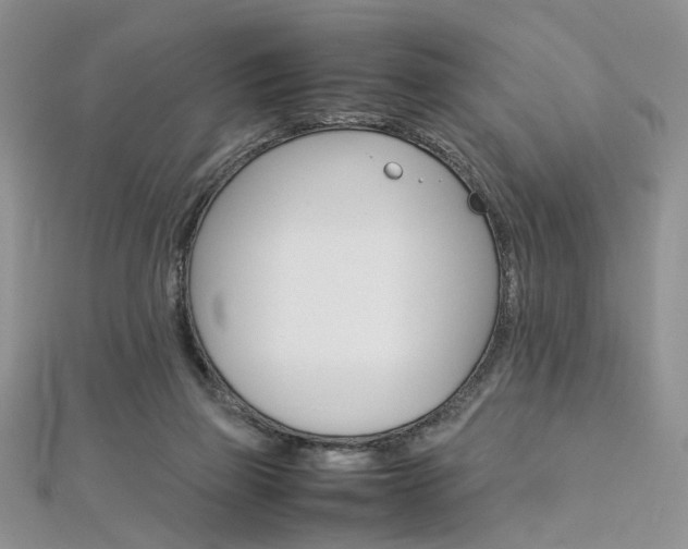 X0000113070165200908281018