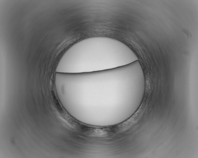 X0000113070166200908281018
