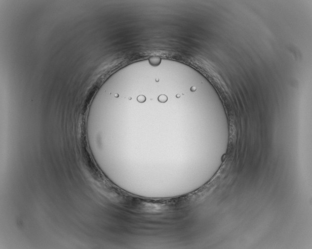 X0000113070167200908281018