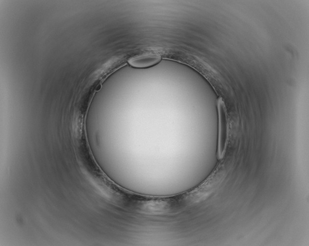 X0000113070168200908281018