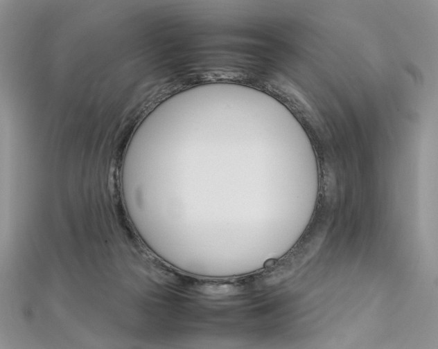 X0000113070169200908281018