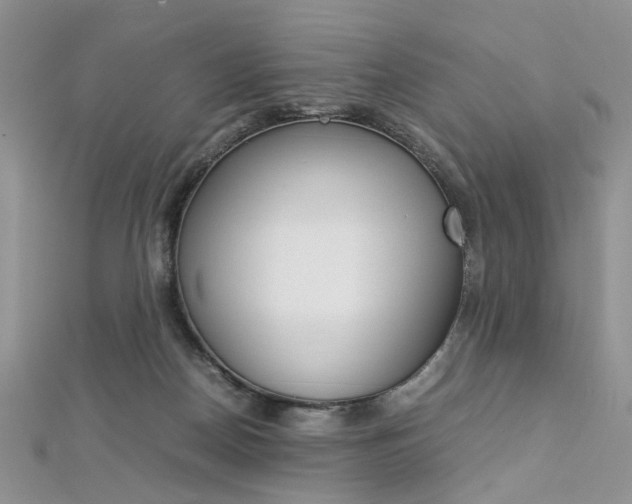 X0000113070170200908281018