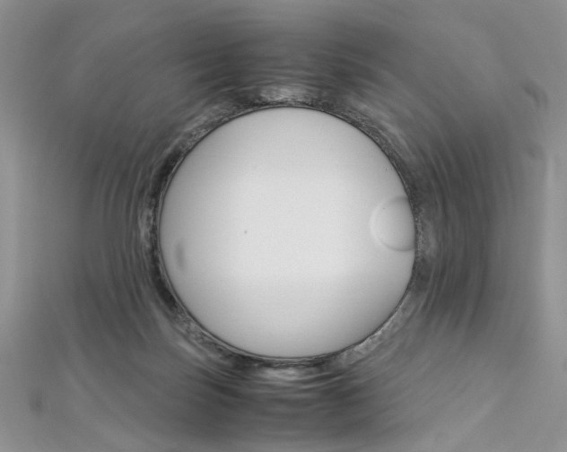 X0000113070171200908281018