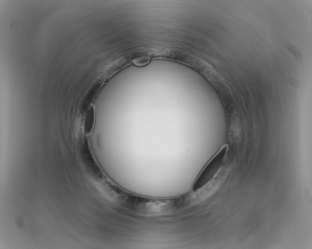 X0000113070172200908281018