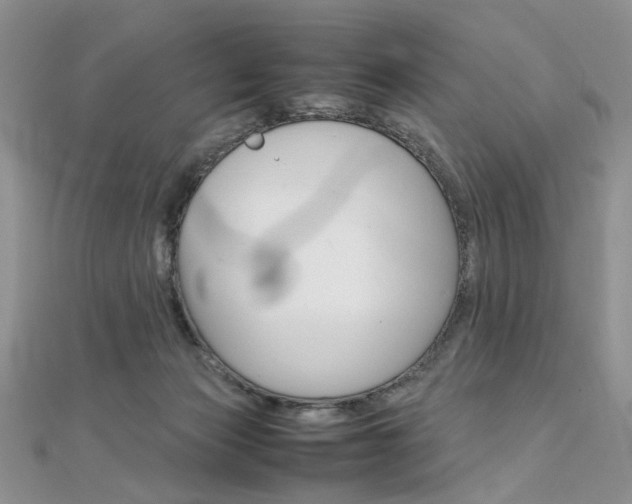 X0000113070173200908281018