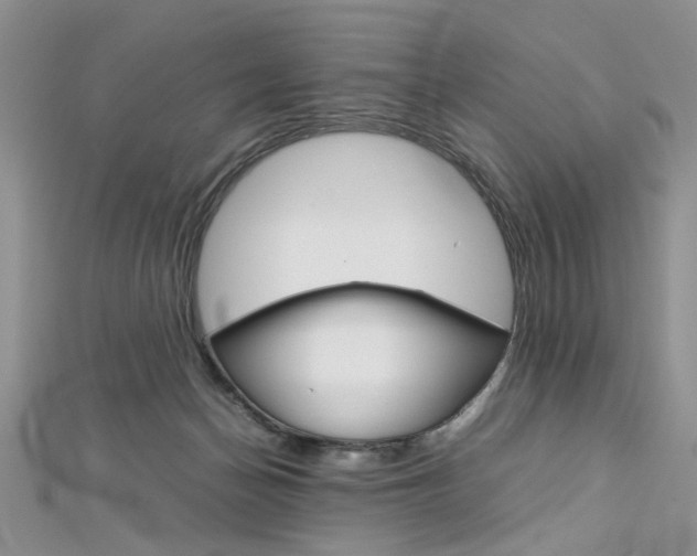 X0000113070174200908281018
