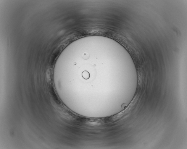 X0000113070175200908281018