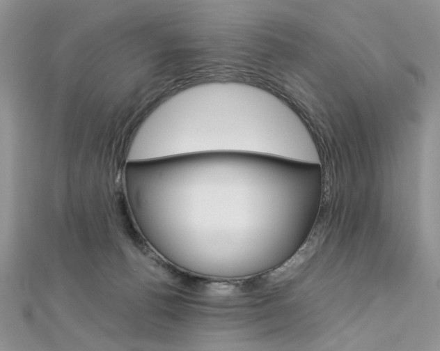 X0000113070176200908281018
