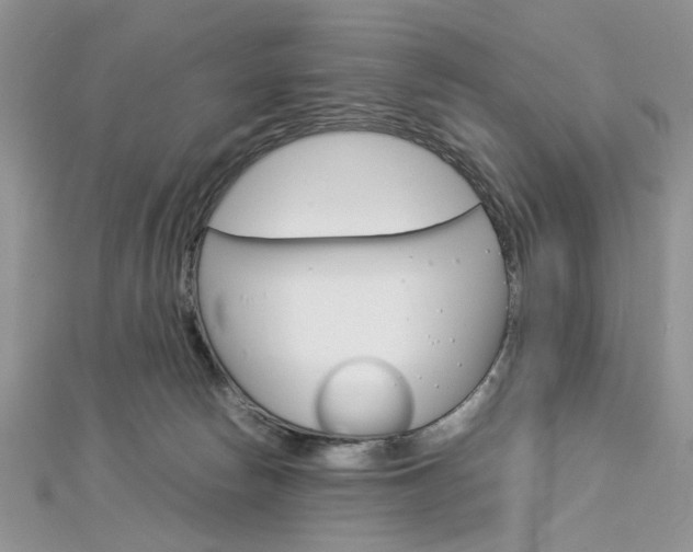 X0000113070178200908281018