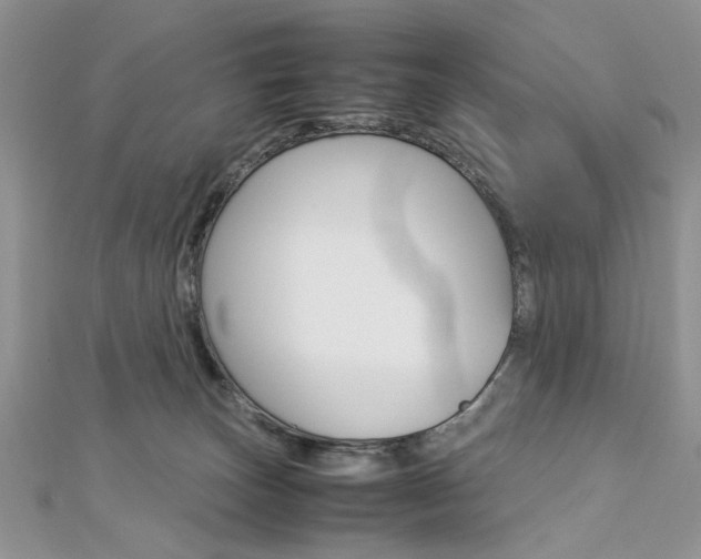 X0000113070179200908281018