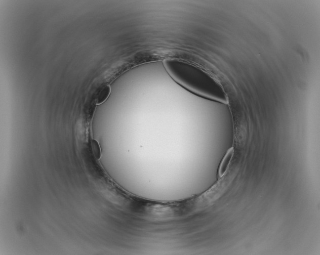 X0000113070180200908281018